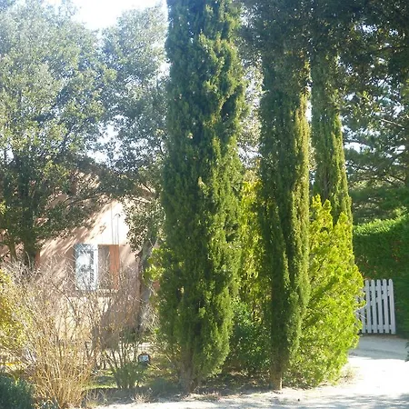 Les Tournillayres * Bedoin